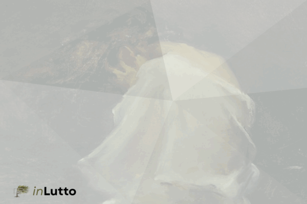 Effetti del lutto sulla persona: corpo, mente, pensieri e relazioni