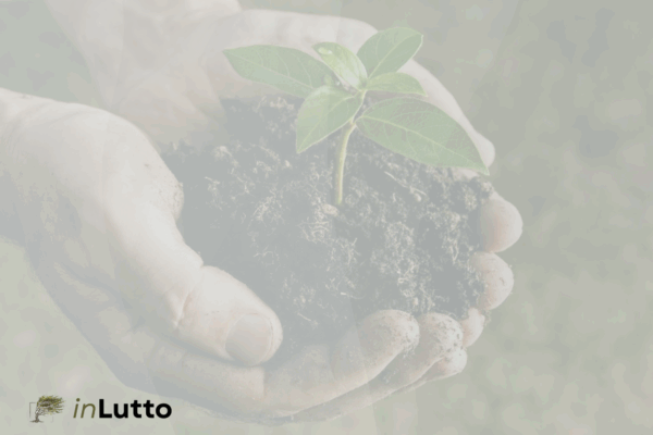 I 4 compiti del lutto secondo William Worden