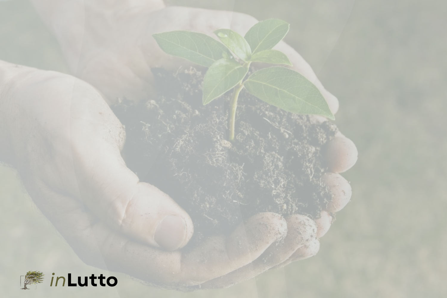 I 4 compiti del lutto secondo William Worden