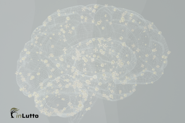 Teoria Polivagale. Perché il tuo sistema nervoso può sentirsi in allarme, in blocco o senza energie dopo una perdita